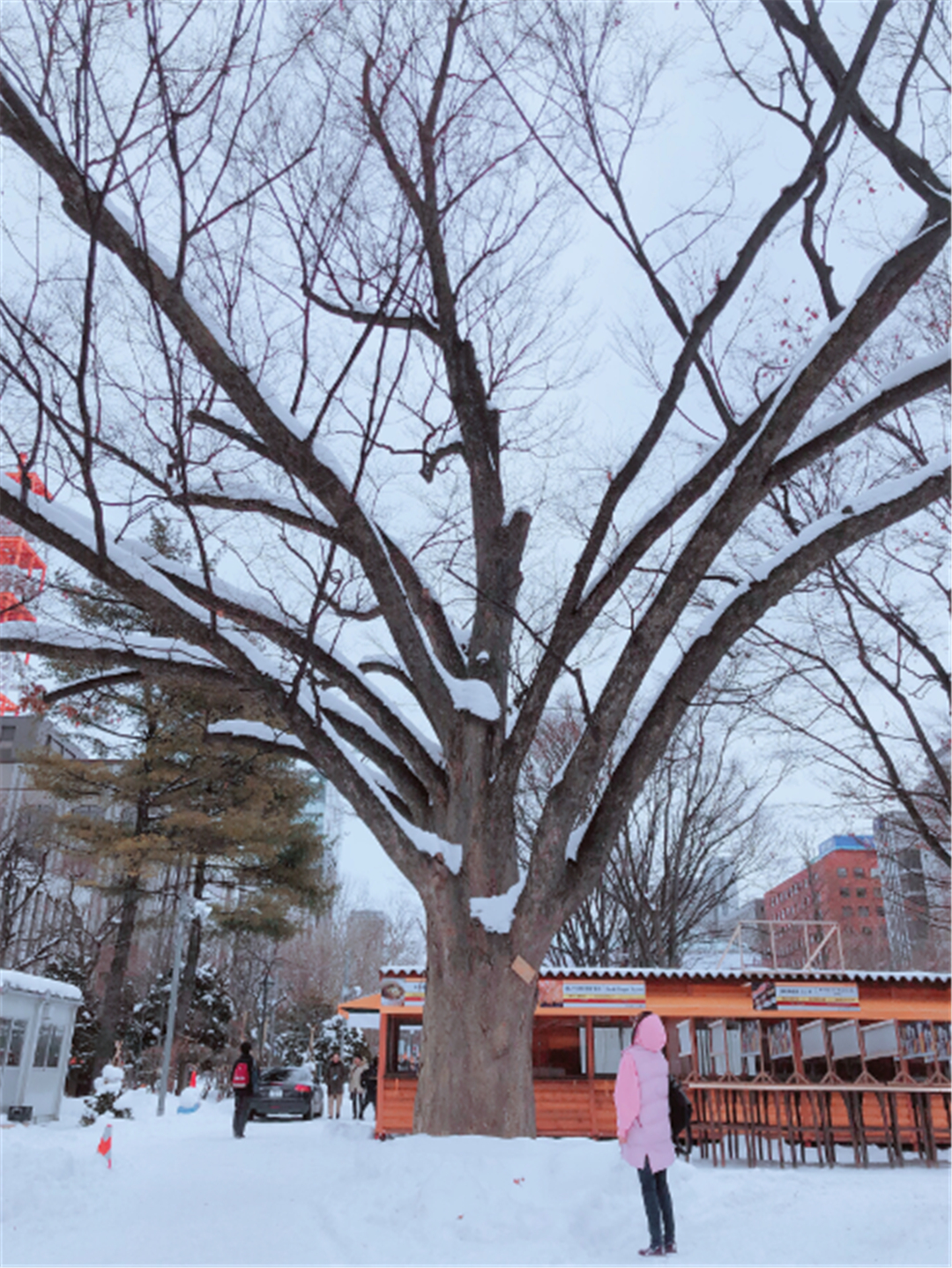 日本札幌县,日本札幌市一年四季