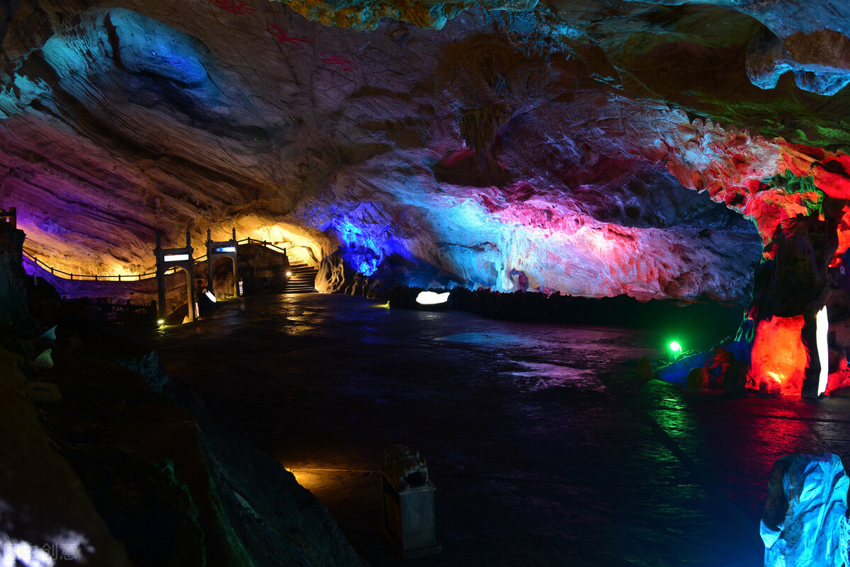 半夜醒来发现床上有一条小蛇,晚上看到一条蛇小说