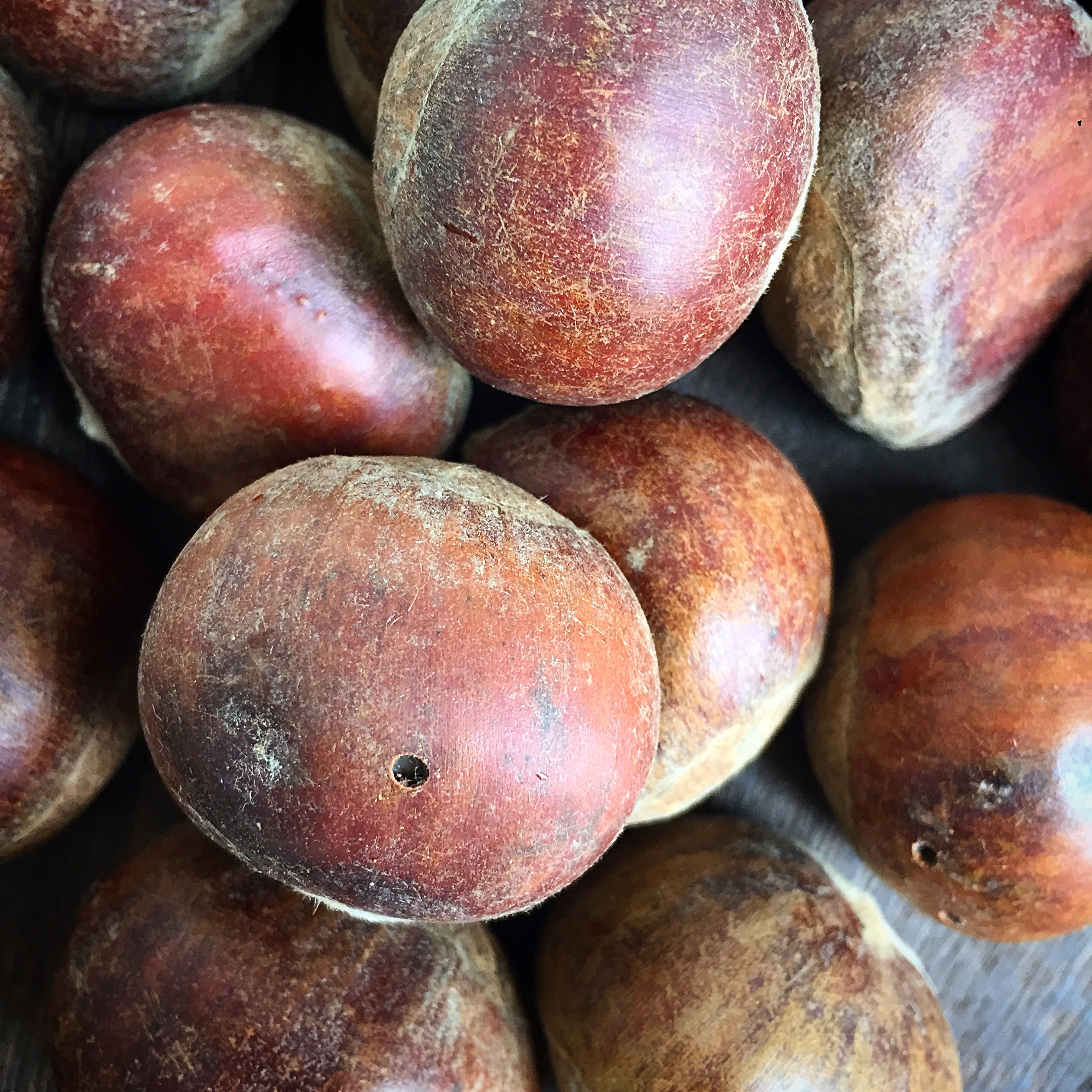 挑选板栗,怎样挑选板栗不容易变黑