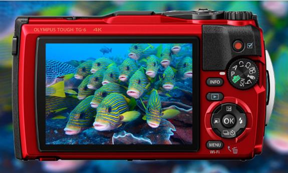 游泳智能设备推荐,游泳设备都有哪些功能