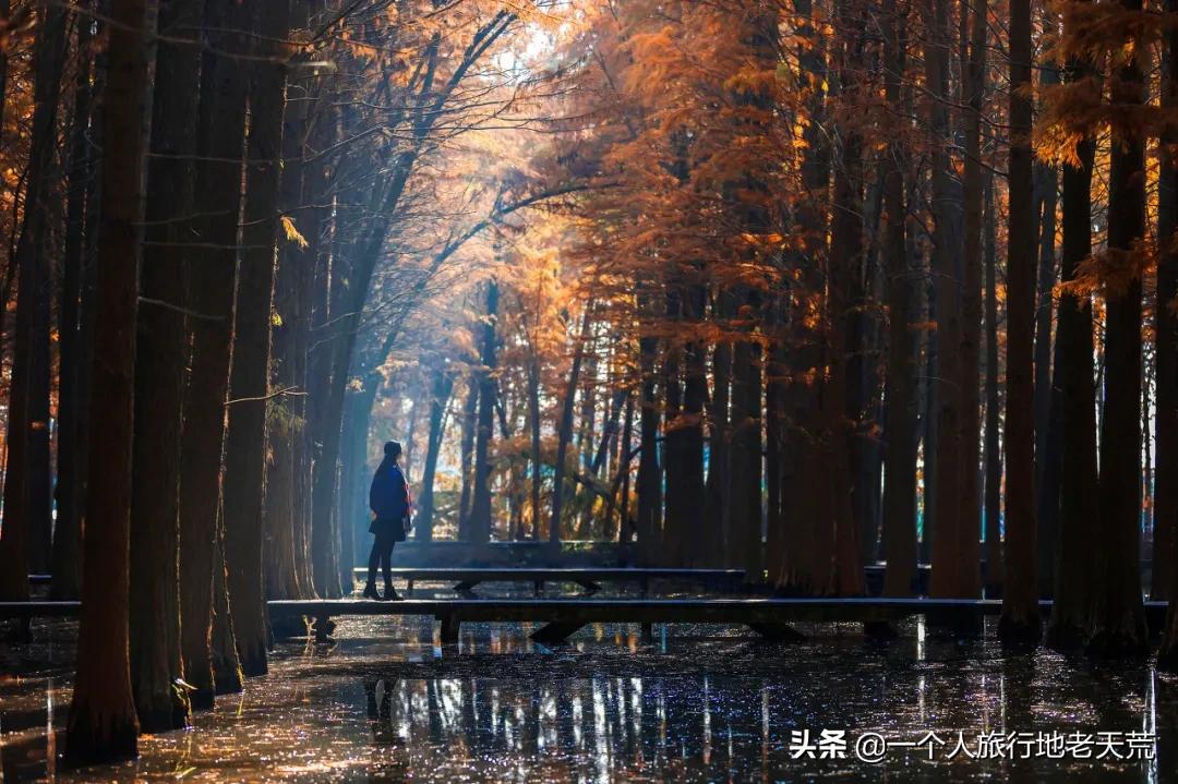 原来它才是江苏最安逸城市，累了就去小住几天