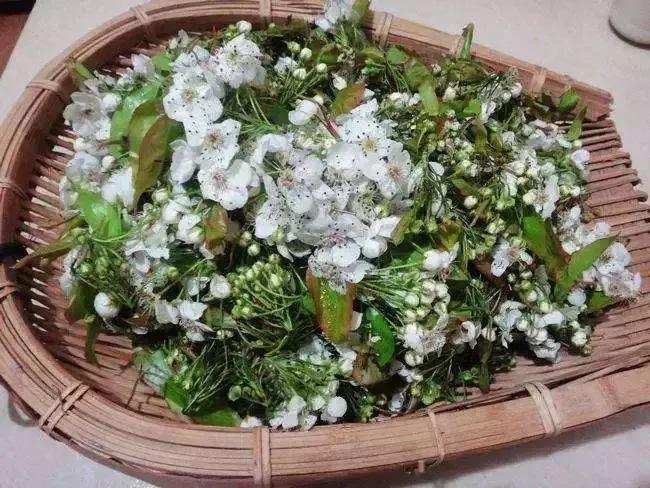 云南猫尾木花吃法,云南可食用的花有哪些