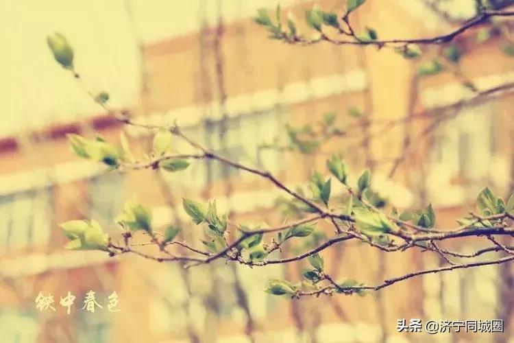 鍏栧窞閾佷腑鍘嗕换鏍￠暱,鍏栧窞閾佷腑93灞婃瘯涓氱収