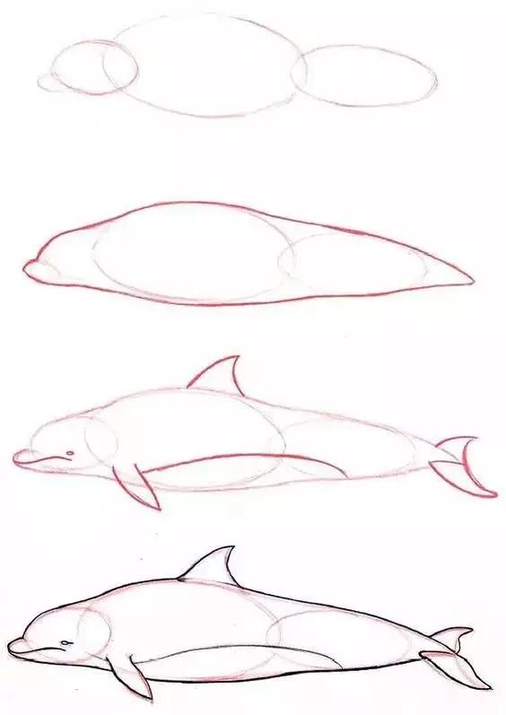 1-10数字动物简笔画图片大全,简笔画小动物100种可爱海底动物