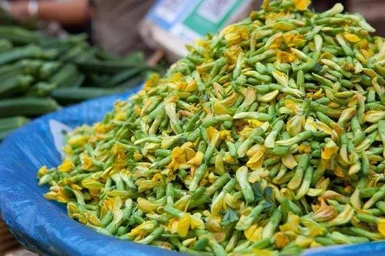 卧虎藏龙里的人情世故,卧虎藏龙金木水火土