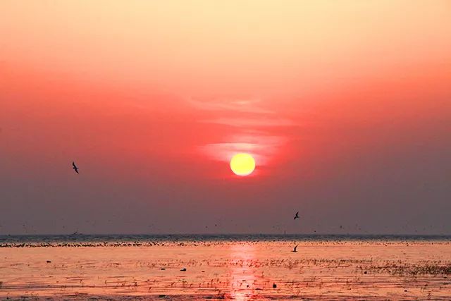 甭管你是哪里人，这份“营口生活指南”一定要收藏！