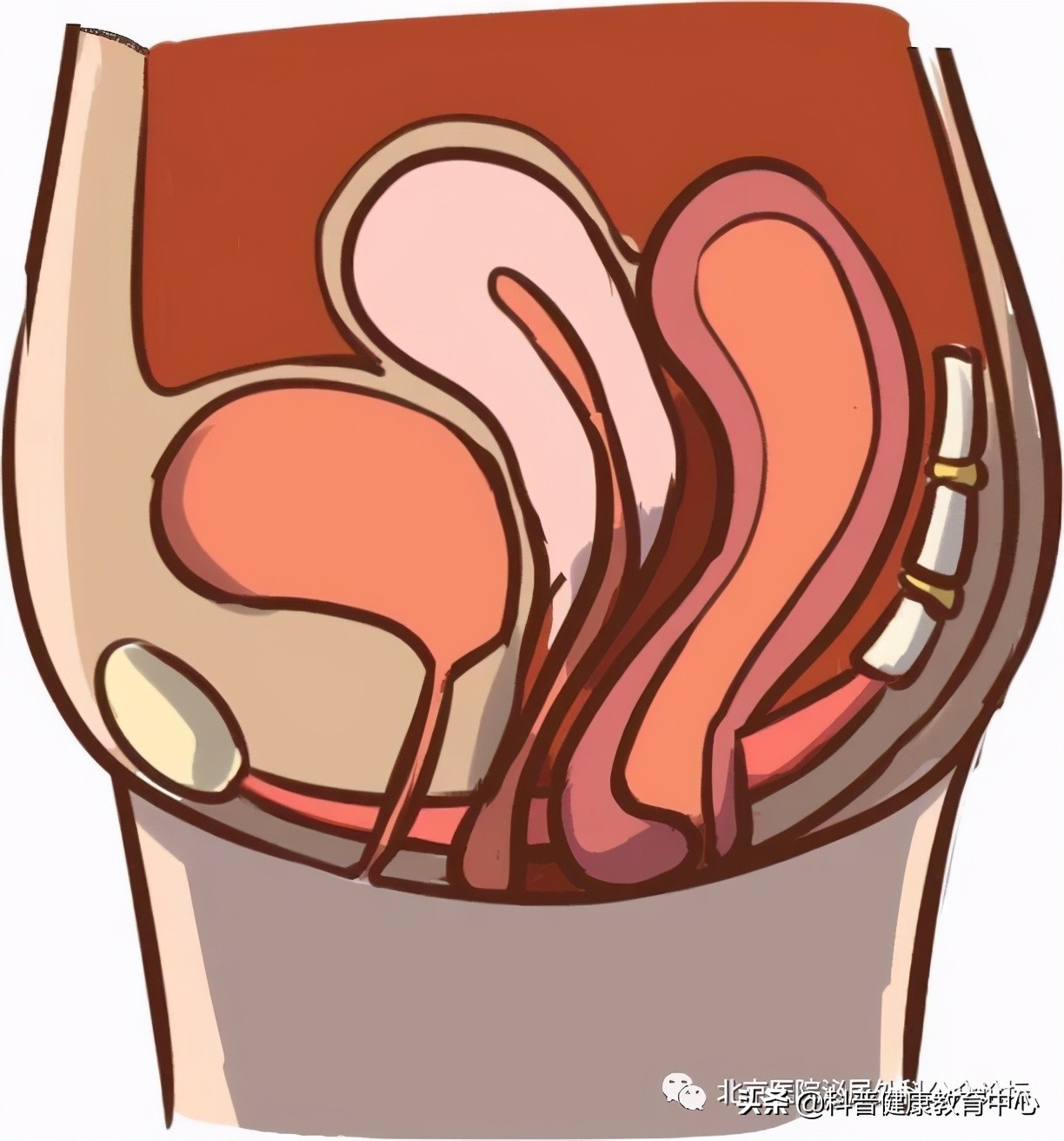 女人不想变老平常要怎么保养,女人不想衰老太快怎么办