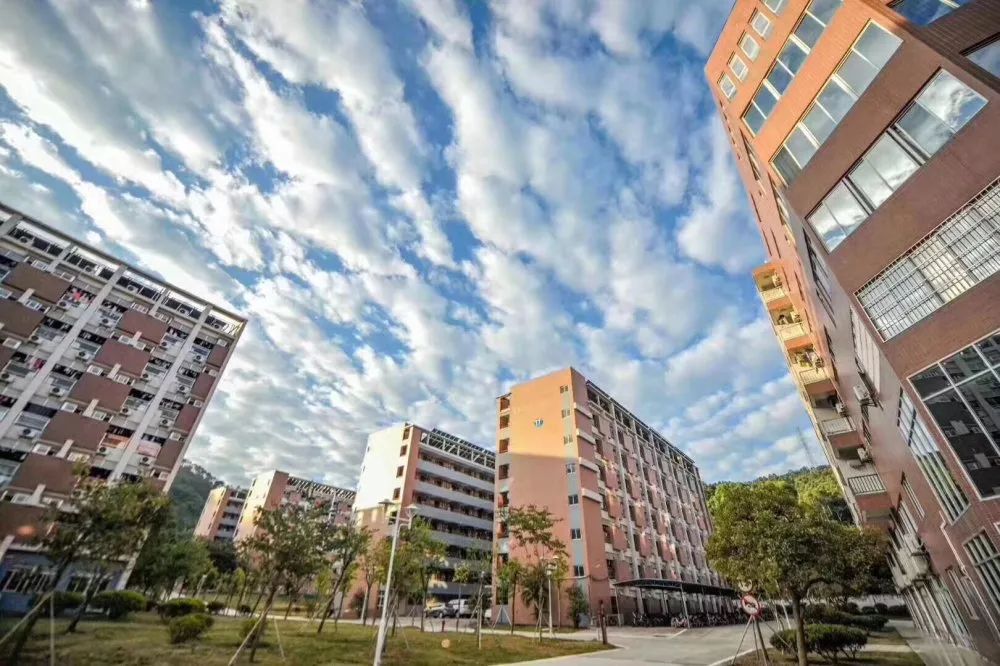 深职宿舍真实现状,深职吊打985