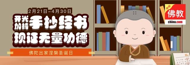 动物保护我们的方式有哪些,对动物的保护视频