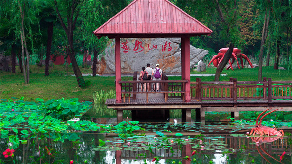 滕州赏花免费景点,滕州莲青山游玩攻略