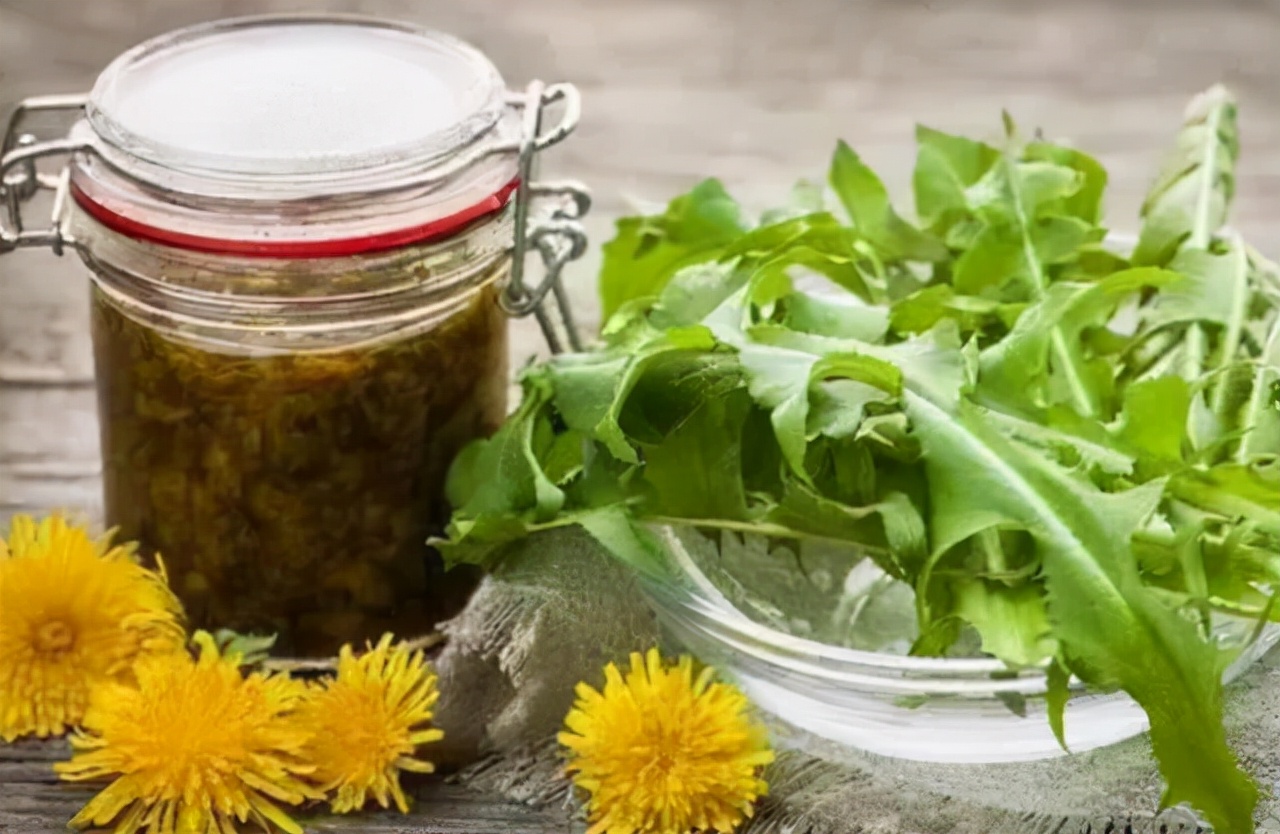 一个47岁的女子长期喝蒲公英泡水,39岁女子常喝蒲公英水发生了什么