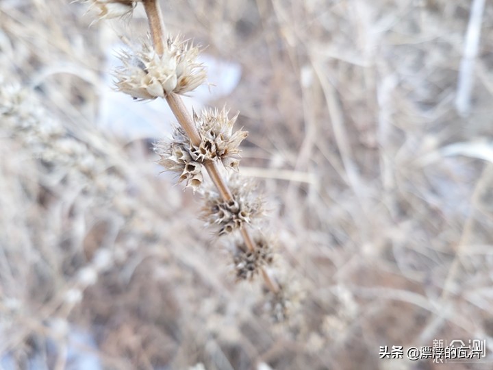 三星galaxya8s,三星galaxya8s评测