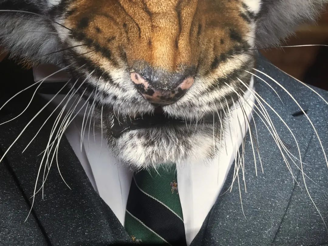 将会迎来报复性消费行为？初创者如何避开误区抓住机会