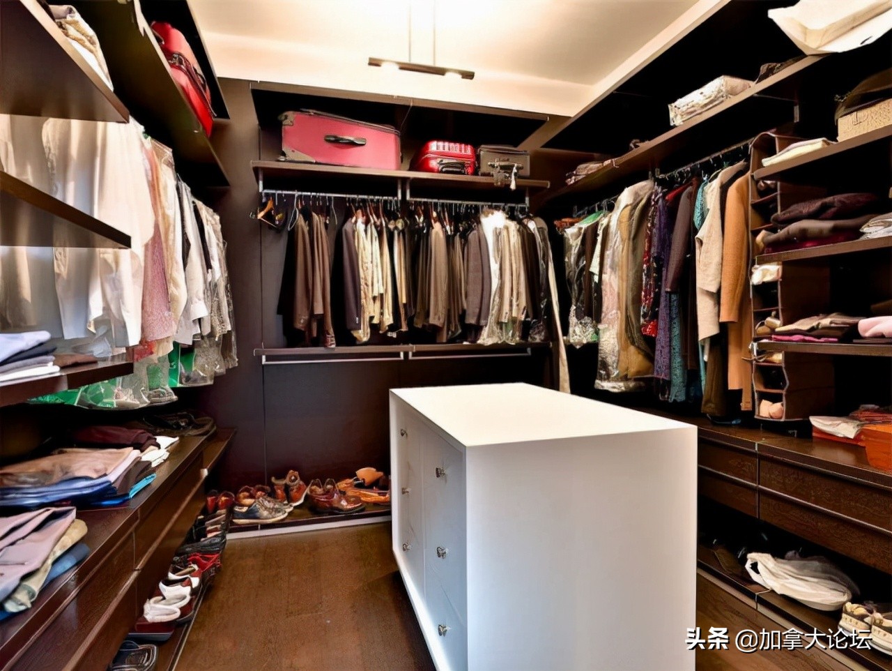 加拿大3000万加币,刷三观