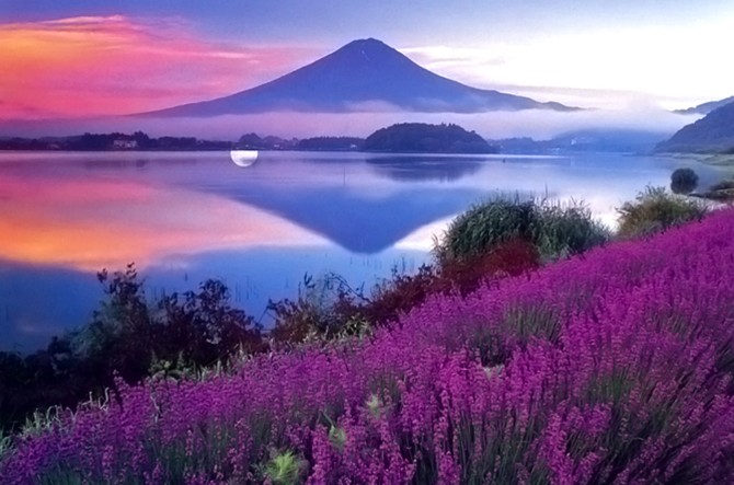 阿缘回忆录全集,阿缘回忆录找到了吗