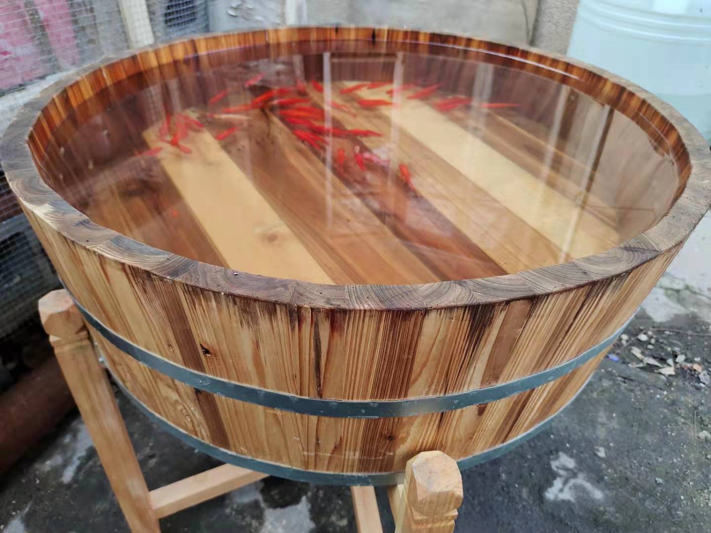 金鱼在太阳底下晒死了会活过来吗,夏天金鱼死亡的原因