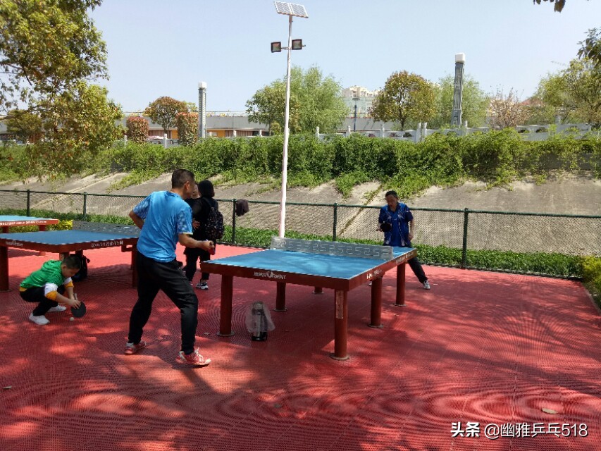 中国乒乓球为什么强,知道中国乒乓球为什么这么厉害了