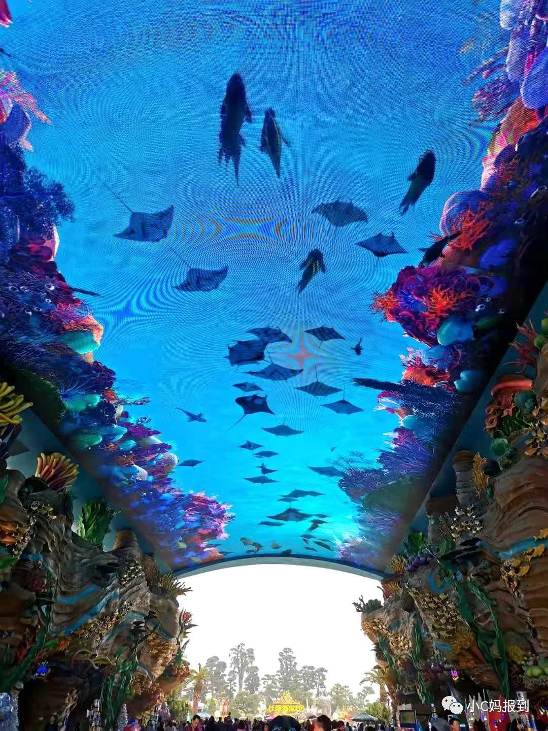 珠海长隆旅游攻略吃住一体,带孩子去珠海长隆攻略