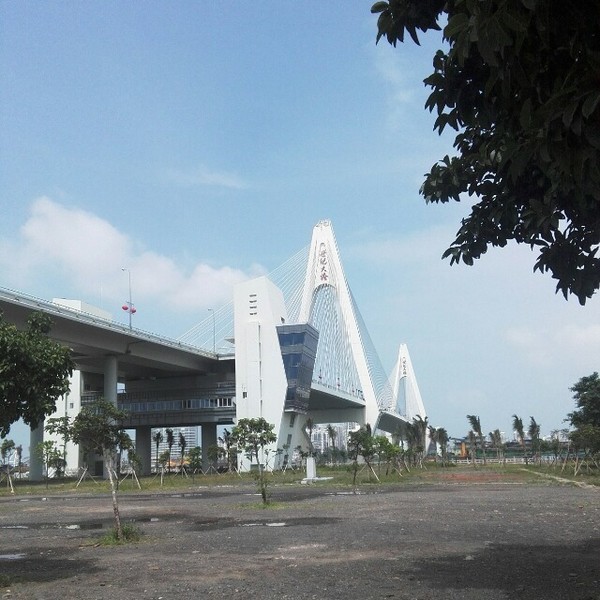 海口悠闲之旅深度体验椰城风情,椰海风情海口