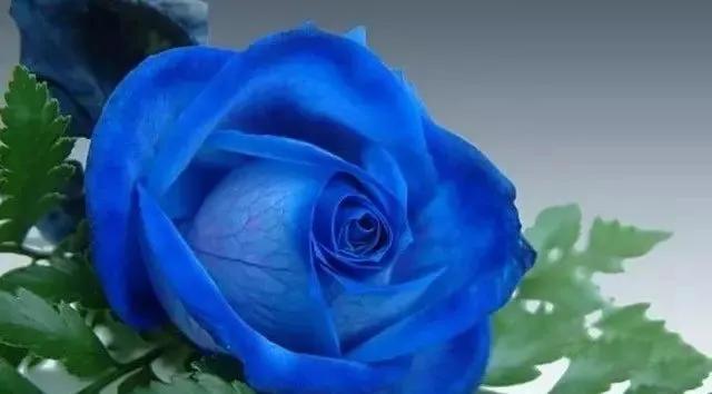 每天学习一点点女性小常识,每天学习一点点科普一下