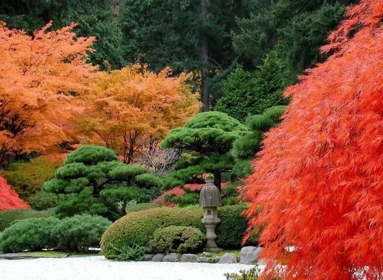 上善若水：《初夏湖边漫步有感》诵/郭星妍