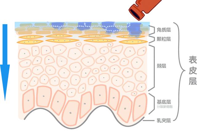 玻尿酸的保湿效果到底有多好？能让明星网红都纷纷跟风推荐