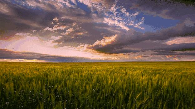简媜的问候天空读后感,读简媜问候天空有感