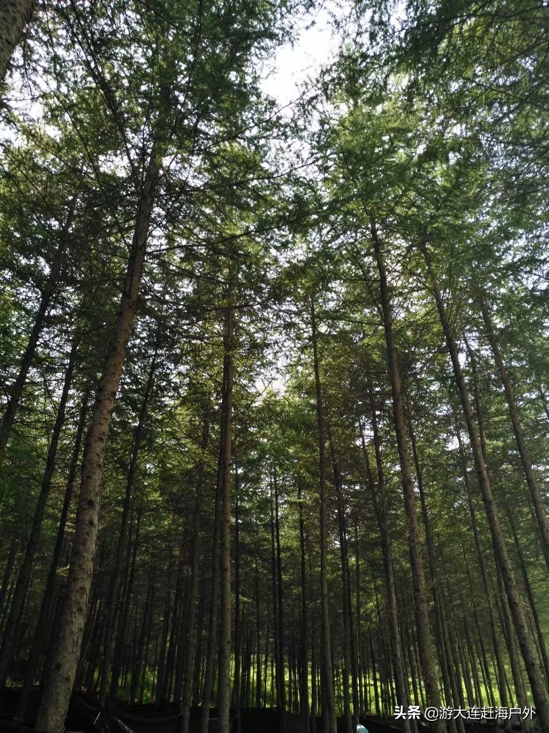 从大连怎么到天门山,大连到大连天门山怎么坐车最方便