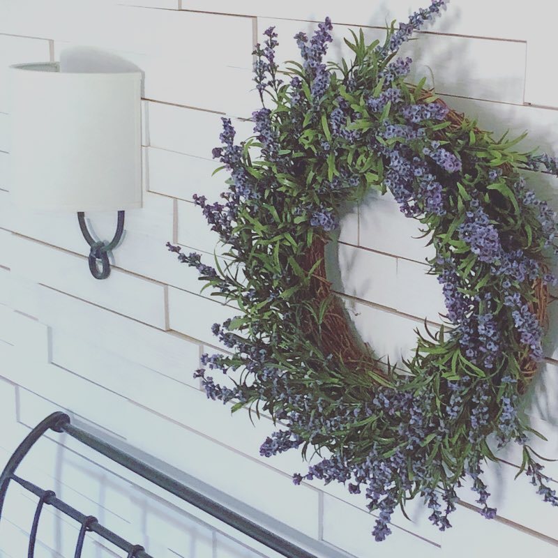 宝藏植物,植物薰衣草