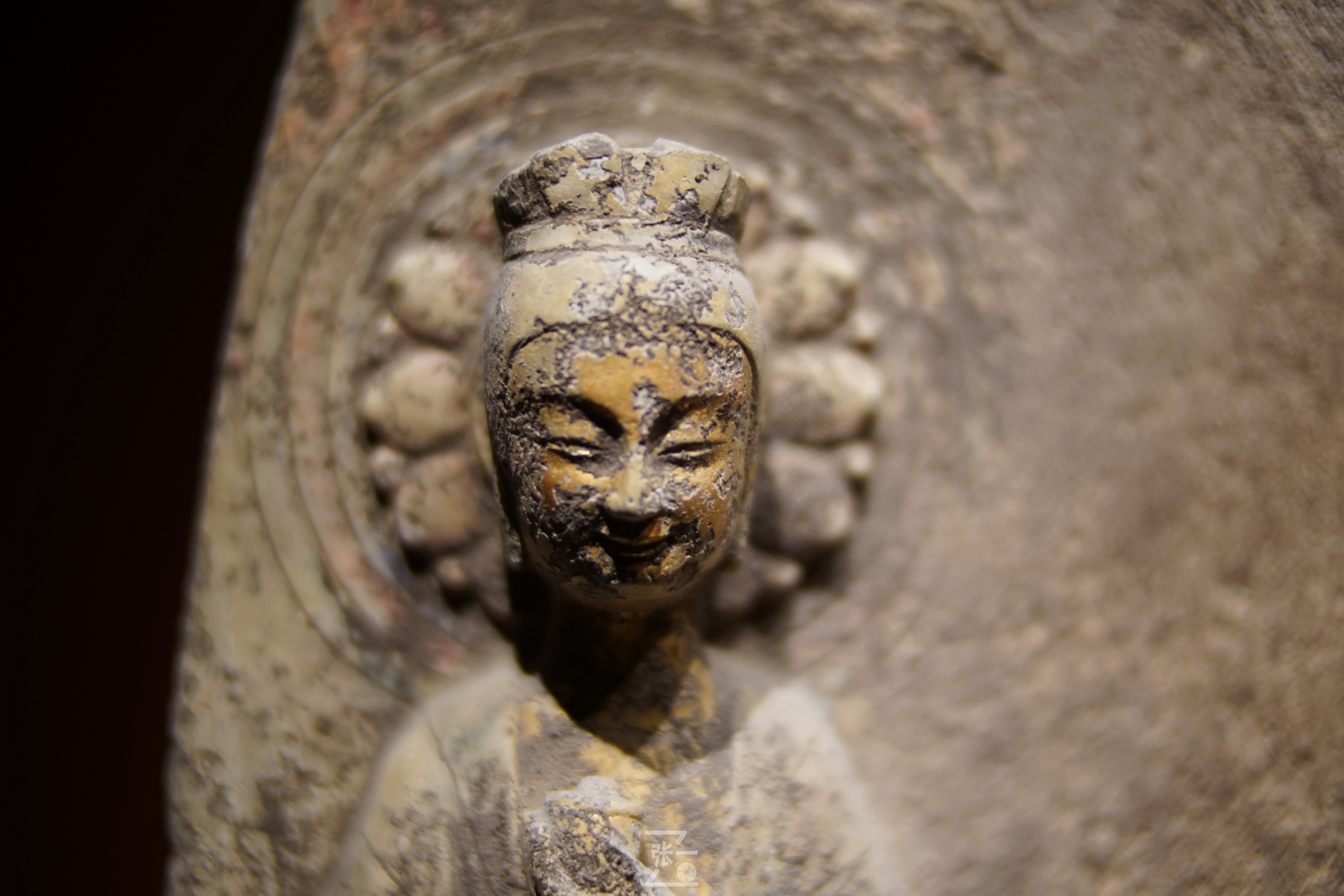 中国产微单,24-135镜头索尼