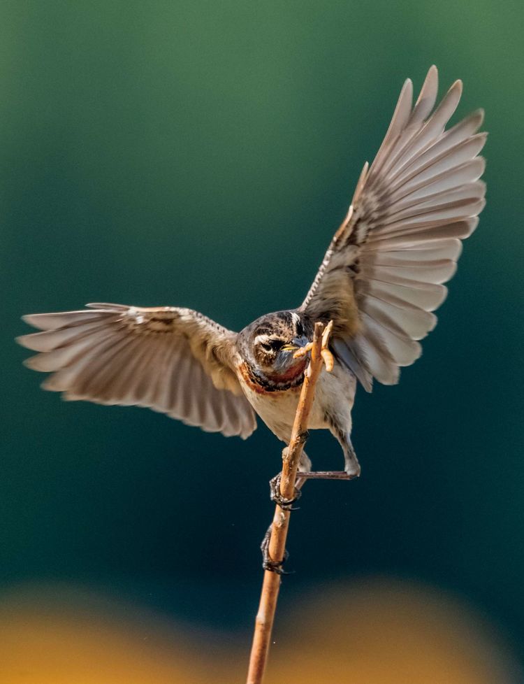 情人岛拍摄地点,情人岛航拍视频