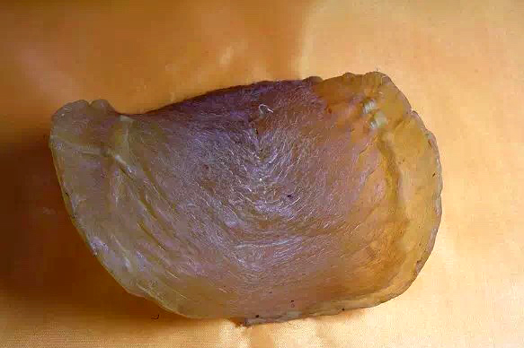 老花胶跟嫩花胶有什么区别,到底多少年的花胶才算老花胶