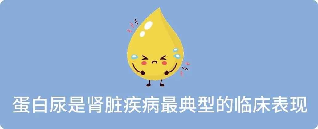 关于尿蛋白的5个小秘密,体检发现尿蛋白是怎么回事