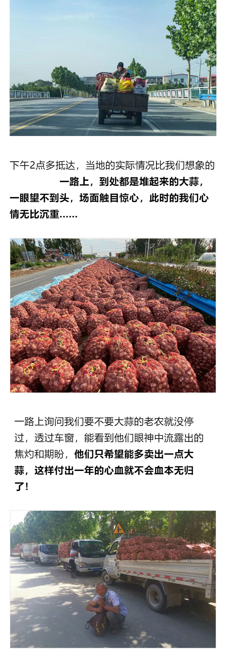 鍔╁啘鐧惧崄涓囦憨婊為攢澶ц挏,绱毊澶ц挏椴滆挏鍔╁啘5鏂よ