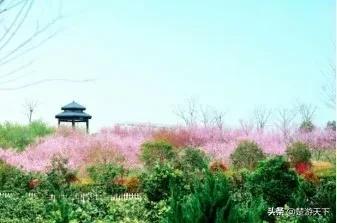 松滋市区游玩,松滋市旅游攻略