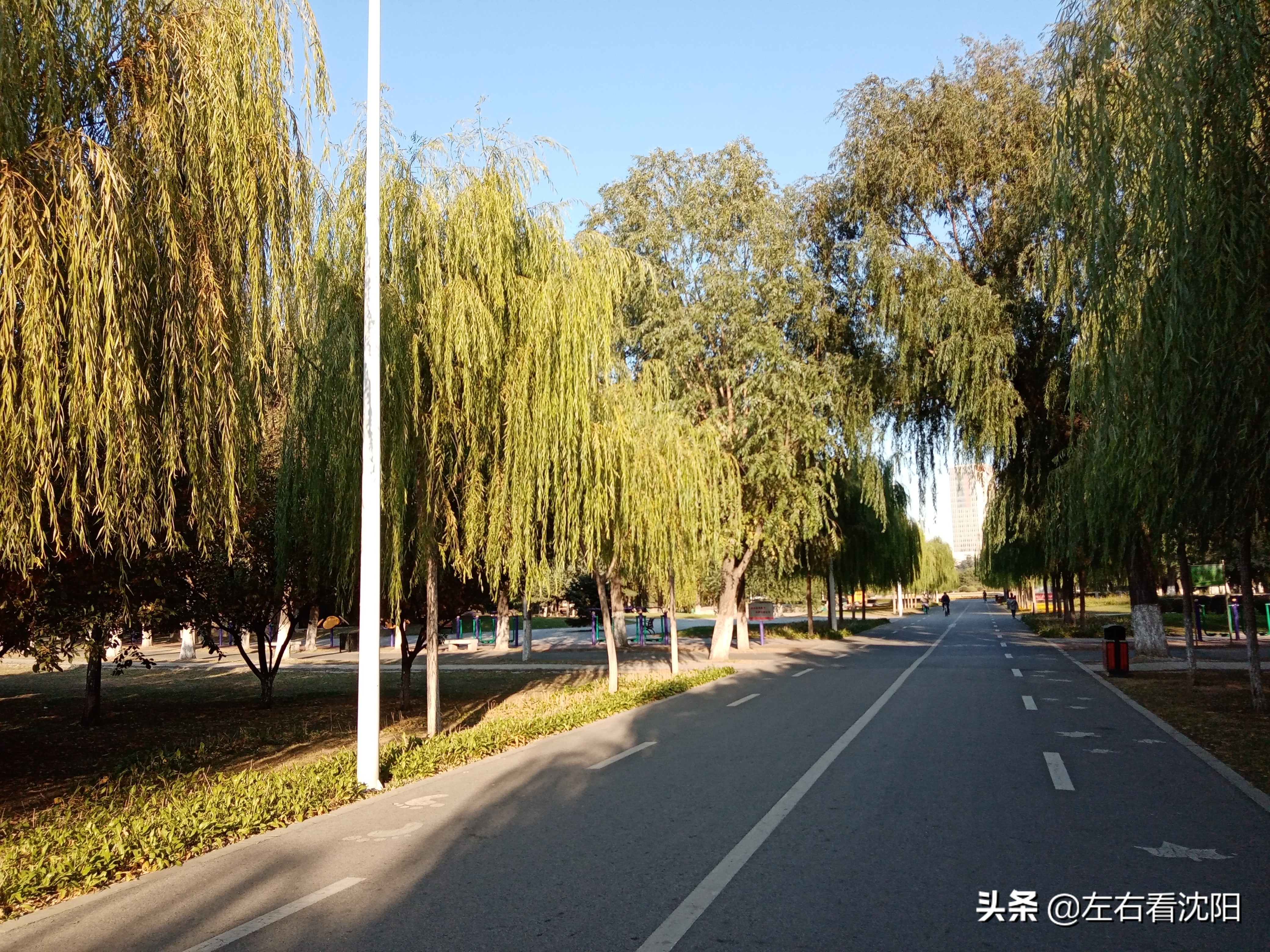 沈阳五里河公园攻略,沈阳五里河公园现在开吗