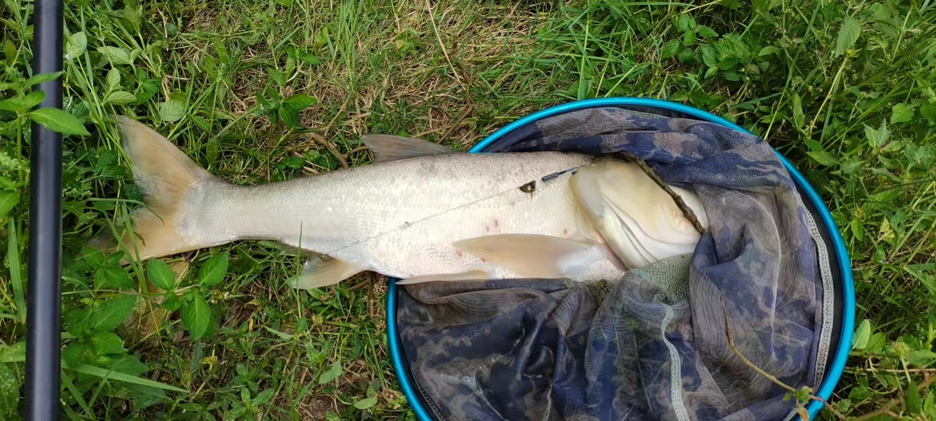 享受生活，游钓山水，光威与我同行