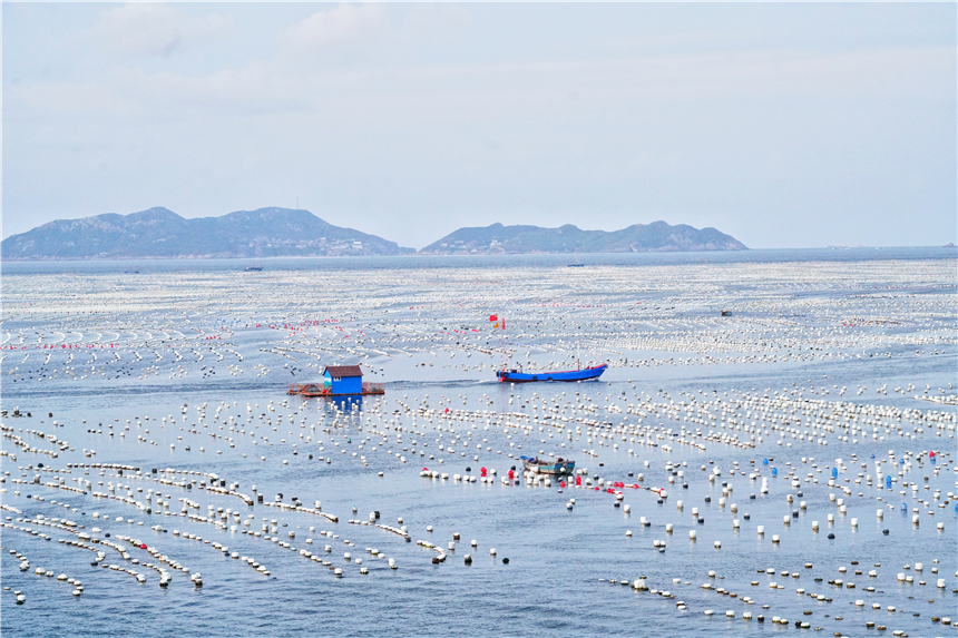 嵊泗列岛海岛推荐,嵊泗岛哪里海景最美