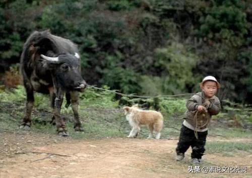 “好男有毛万事顺,好女无毛旺夫家”,说的到底是何含义?