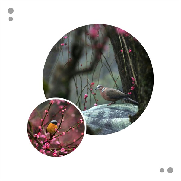 根博园根雕,根宫佛国根雕视频