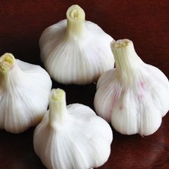 什么样的人可以长寿,什么样的人长寿最有福气