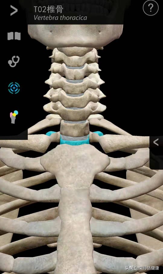 用3D来脊柱体表定位简单多了