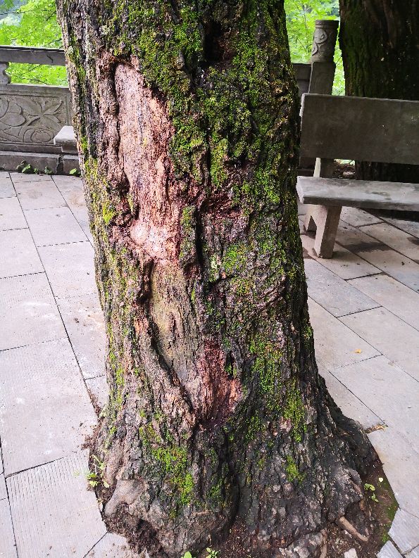 徒步终南山南五台,秦岭终南山南五台