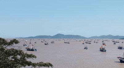 石浦渔港海鲜,石浦渔港码头海鲜