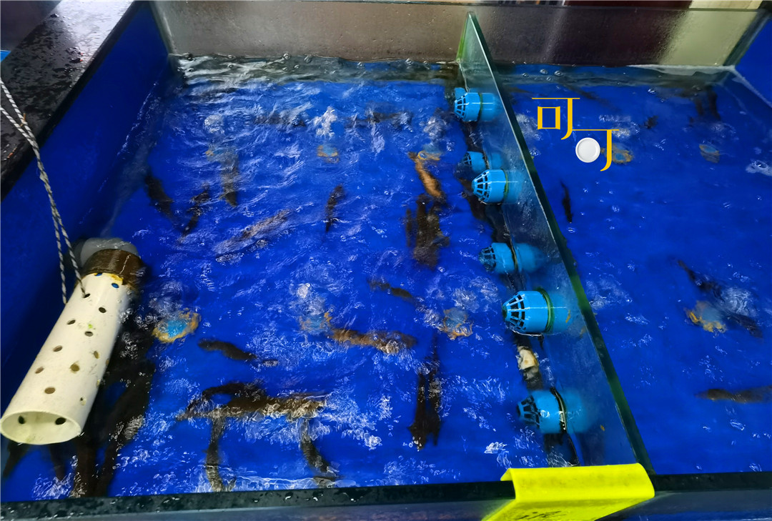 湖州荻港渔村美食,湖州荻港渔庄陈家私房菜