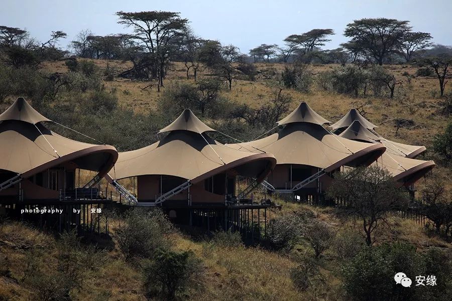 他，百亿富豪，常近乎全裸出现在公共视线里，却被英女王封为爵士