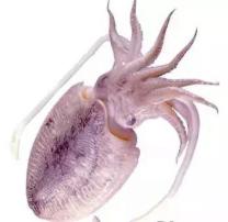 门牙黄变白的简单方法,喝茶牙黄变白最实用的方法