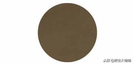 春天穿这些颜色真是美爆了,冬天穿这些颜色真的太美了