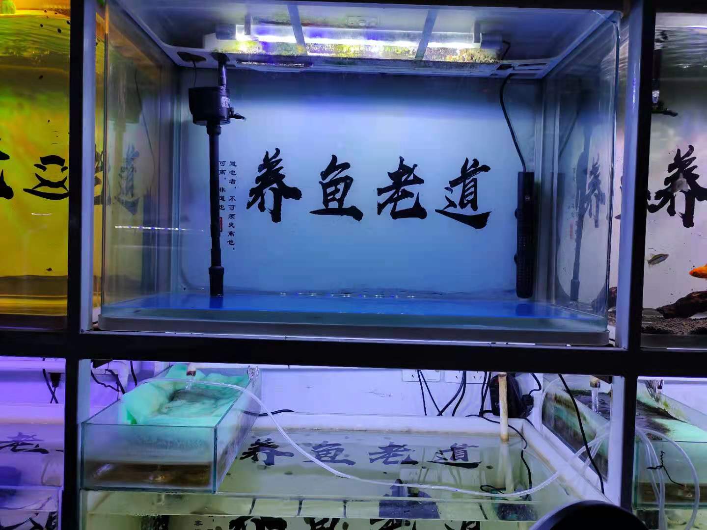 鱼缸轻微漏水如何修补好,鱼缸漏水有什么预兆