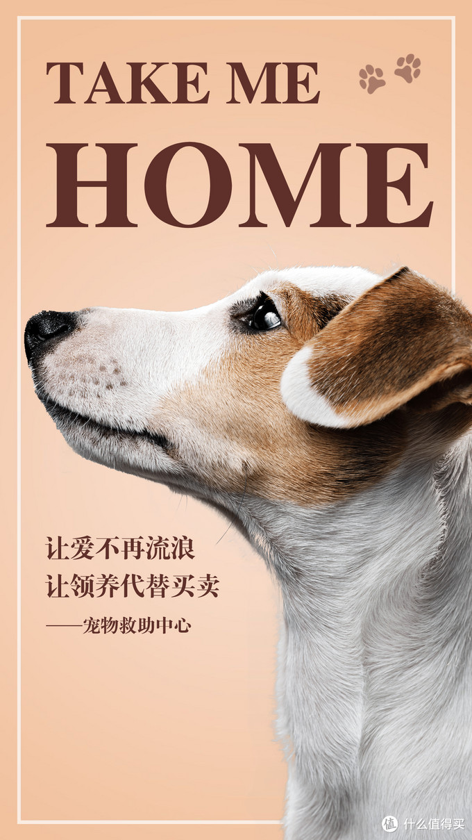 想要养狗养啥狗,想要养狗的句子